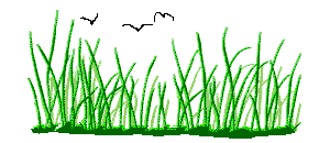 grasscp.gif (18142 bytes)